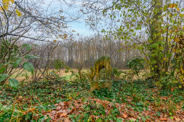 Medium property photo - Bergweg 76R472, 8336 MC Baars